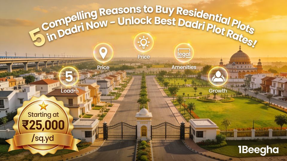 residential plots in Dadri
